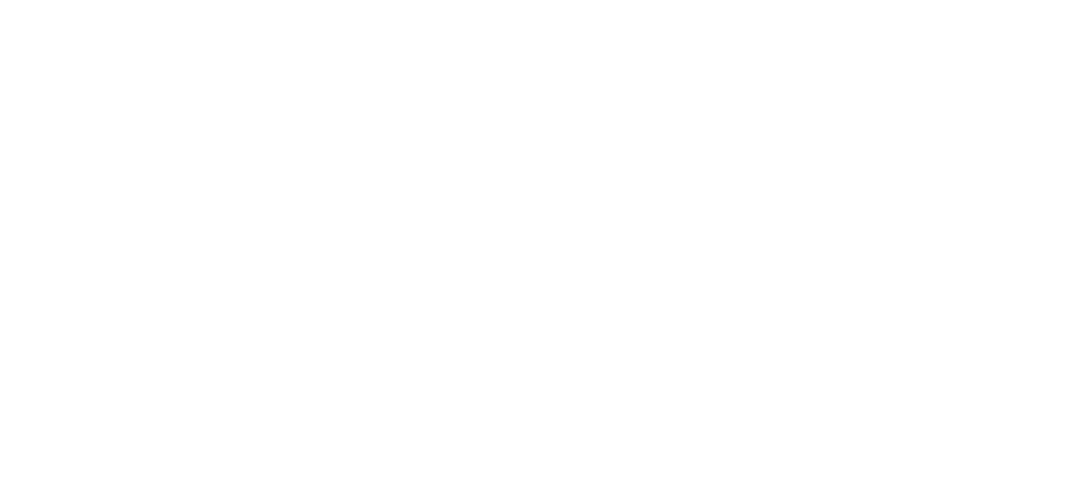 The State of Early Career Mentorships title
